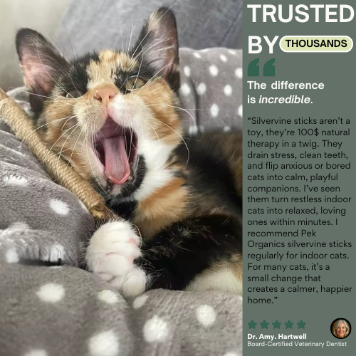 Organic Silvervine Dental Sticks