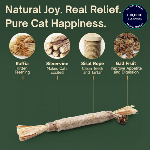 Organic Silvervine Dental Sticks