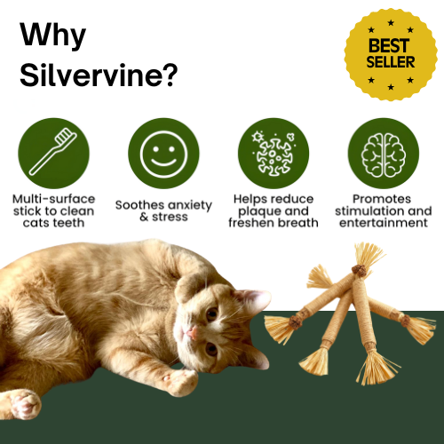 Organic Silvervine Dental Sticks