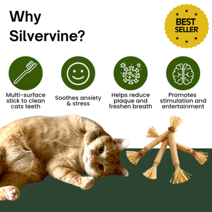 Organic Silvervine Dental Sticks