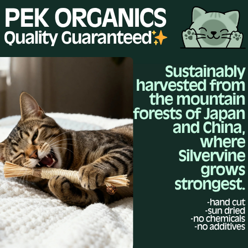 Organic Silvervine Dental Sticks